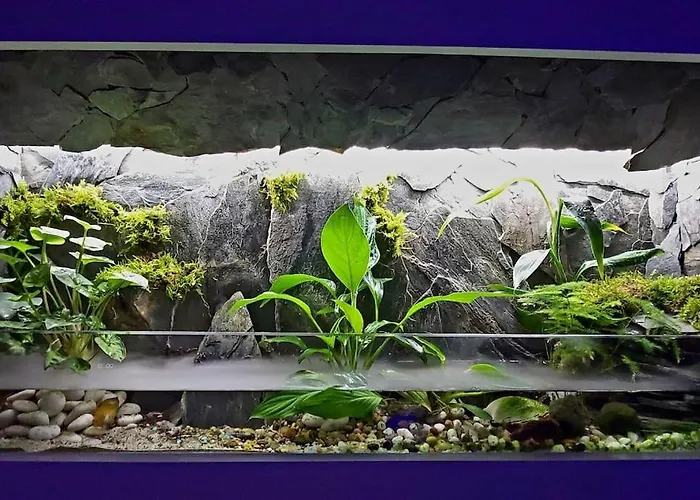 Oah 1870 Oldest House Vakantiehuis Ålesund