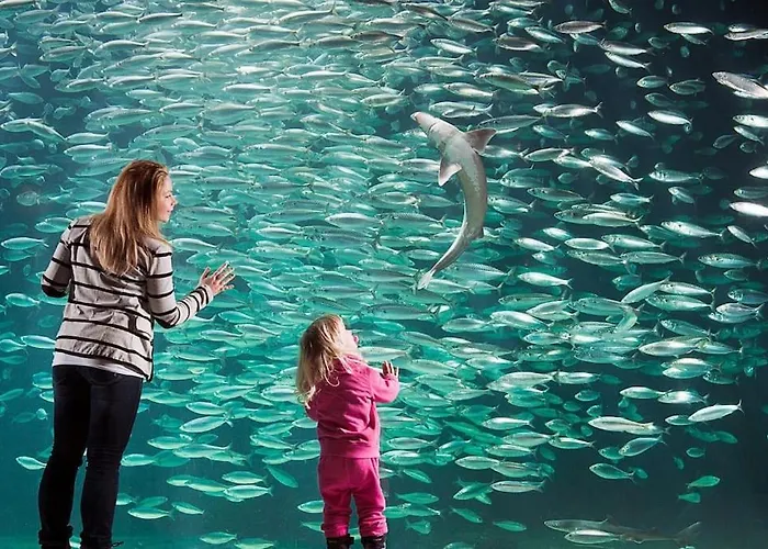 Oah 1870 Oldest House