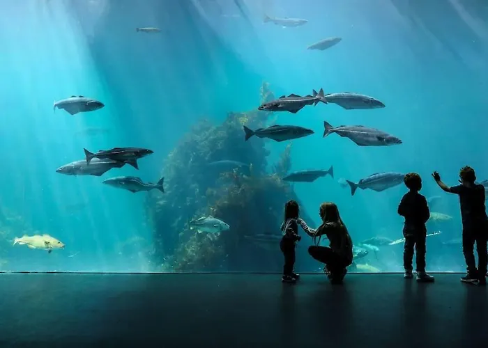 Oah 1870 Oldest House