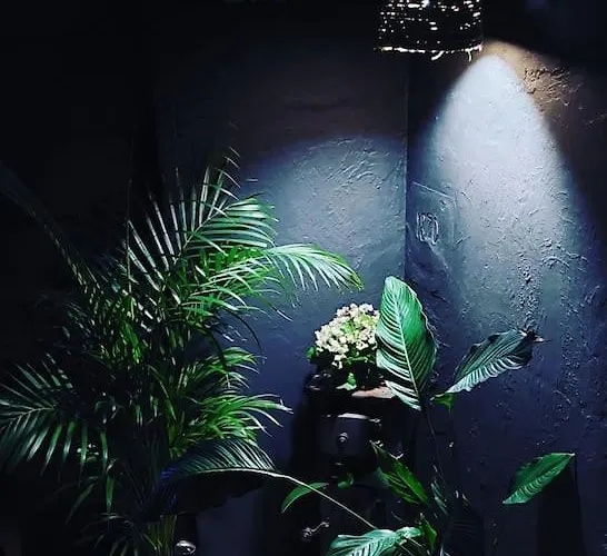 Dom wakacyjny Oah 1870 Oldest House *