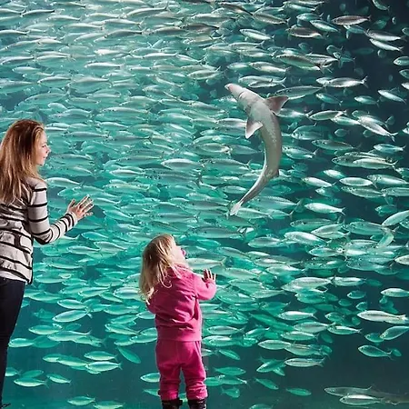 Oah 1870 Oldest House