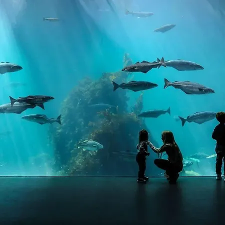 Oah 1870 Oldest House