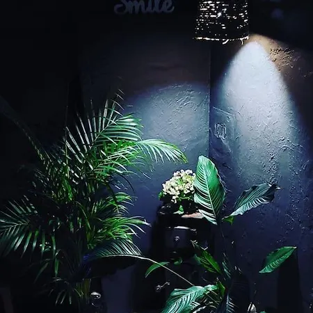 Nyaraló Oah 1870 Oldest House *