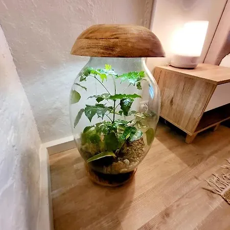 Oah 1870 Oldest House Nyaraló Ålesund